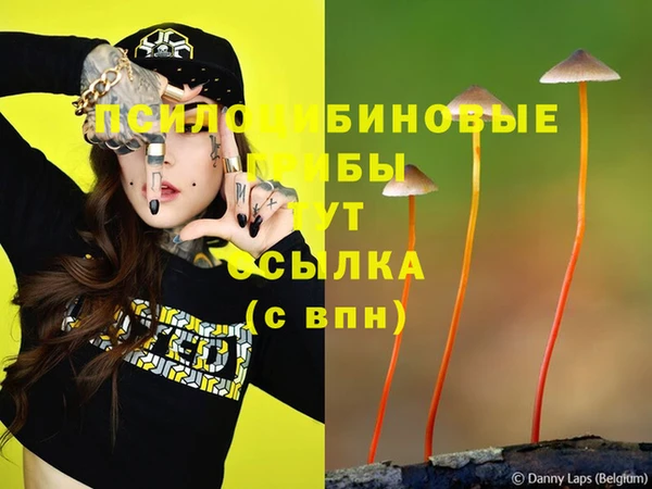 спиды Балабаново