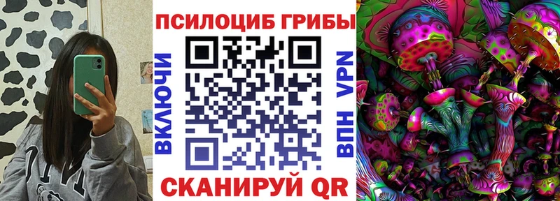 Галлюциногенные грибы Psilocybe Вольск